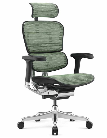 Кресло ERGOHUMAN ELITE 2 (EHE2-AB-HAM-5D-L, сетка T-168-B6 Green), эргономичное