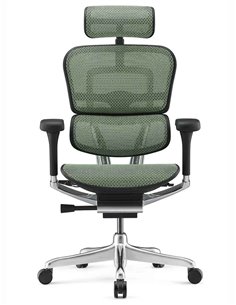 Кресло ERGOHUMAN ELITE 2 (EHE2-AB-HAM-5D-L, сетка T-168-B6 Green), эргономичное 2