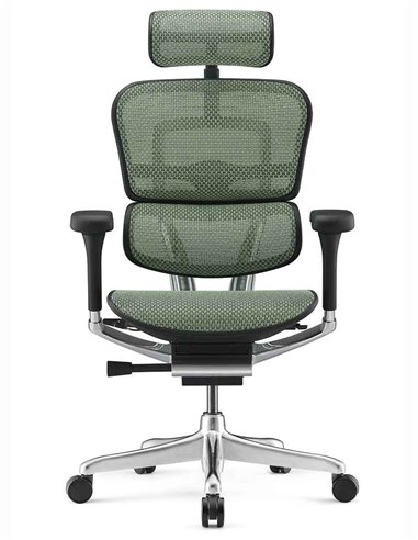 Кресло ERGOHUMAN ELITE 2 (EHE2-AB-HAM-5D-L, сетка T-168-B6 Green), эргономичное