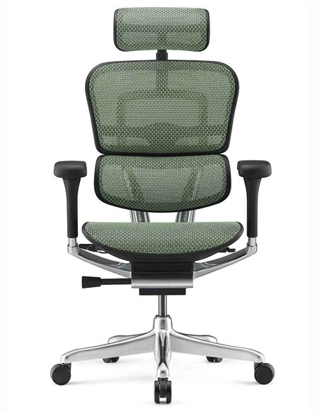 Кресло ERGOHUMAN ELITE 2 (EHE2-AB-HAM-5D-L, сетка T-168-B6 Green), эргономичное