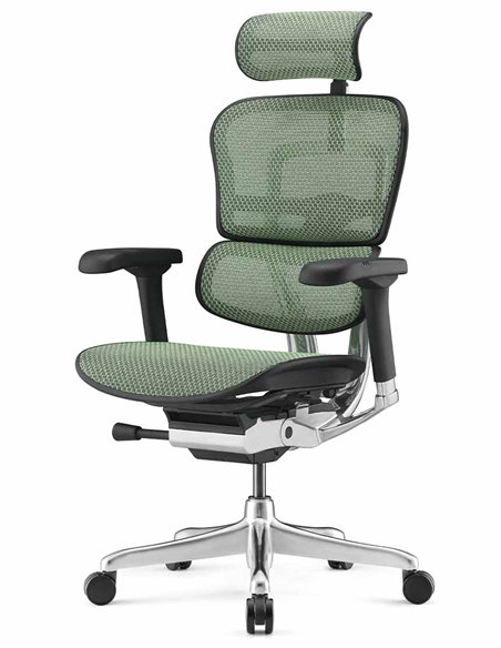 Кресло ERGOHUMAN ELITE 2 (EHE2-AB-HAM-5D-L, сетка T-168-B6 Green), эргономичное