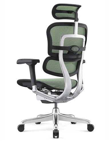 Кресло ERGOHUMAN ELITE 2 (EHE2-AB-HAM-5D-L, сетка T-168-B6 Green), эргономичное