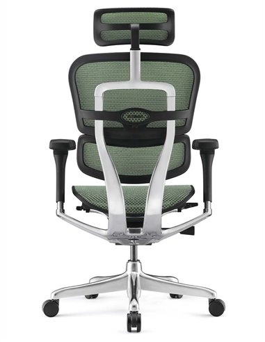 Кресло ERGOHUMAN ELITE 2 (EHE2-AB-HAM-5D-L, сетка T-168-B6 Green), эргономичное