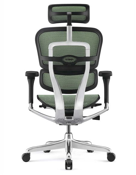 Кресло ERGOHUMAN ELITE 2 (EHE2-AB-HAM-5D-L, сетка T-168-B6 Green), эргономичное