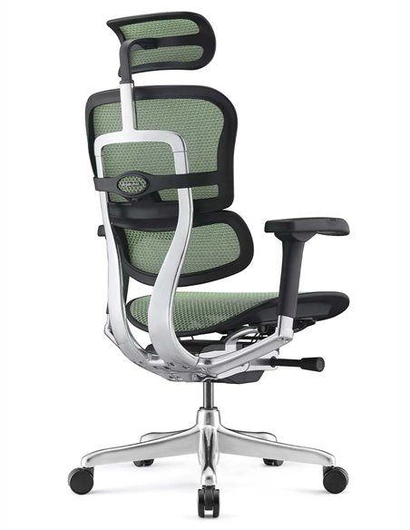 Кресло ERGOHUMAN ELITE 2 (EHE2-AB-HAM-5D-L, сетка T-168-B6 Green), эргономичное