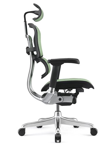 Кресло ERGOHUMAN ELITE 2 (EHE2-AB-HAM-5D-L, сетка T-168-B6 Green), эргономичное