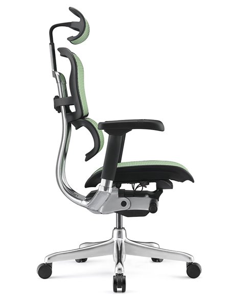 Кресло ERGOHUMAN ELITE 2 (EHE2-AB-HAM-5D-L, сетка T-168-B6 Green), эргономичное
