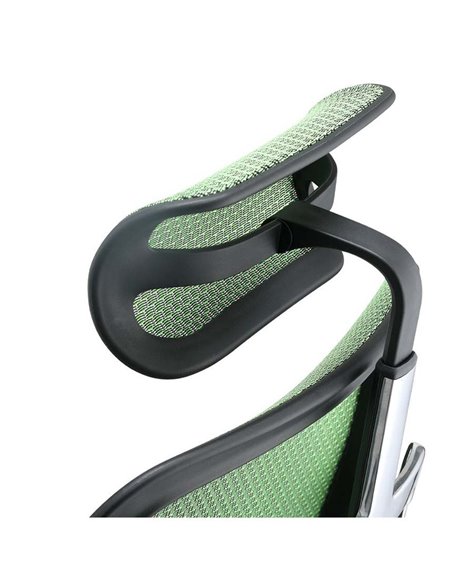 Кресло ERGOHUMAN ELITE 2 (EHE2-AB-HAM-5D-L, сетка T-168-B6 Green), эргономичное