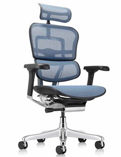 Кресло ERGOHUMAN ELITE 2 (EHE2-AB-HAM-5D-L, сетка T-168-B4 Cobalt), эргономичное