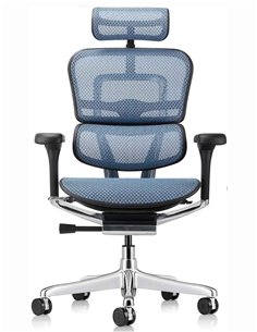 Кресло ERGOHUMAN ELITE 2 (EHE2-AB-HAM-5D-L, сетка T-168-B4 Cobalt), эргономичное 2