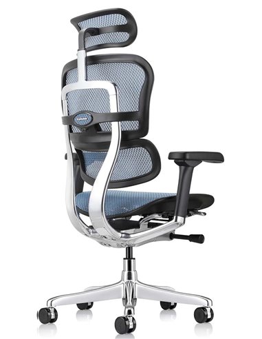 Кресло ERGOHUMAN ELITE 2 (EHE2-AB-HAM-5D-L, сетка T-168-B4 Cobalt), эргономичное