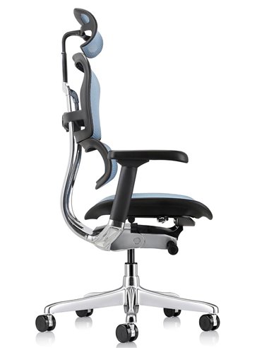Кресло ERGOHUMAN ELITE 2 (EHE2-AB-HAM-5D-L, сетка T-168-B4 Cobalt), эргономичное