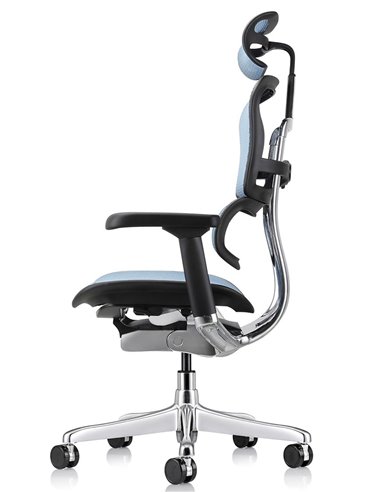 Кресло ERGOHUMAN ELITE 2 (EHE2-AB-HAM-5D-L, сетка T-168-B4 Cobalt), эргономичное
