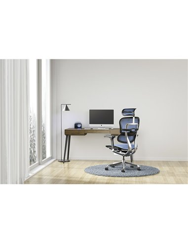 Кресло ERGOHUMAN ELITE 2 (EHE2-AB-HAM-5D-L, сетка T-168-B4 Cobalt), эргономичное
