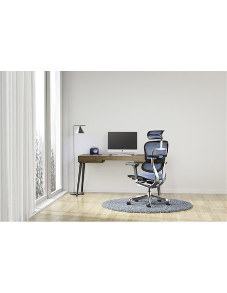 Кресло ERGOHUMAN ELITE 2 (EHE2-AB-HAM-5D-L, сетка T-168-B4 Cobalt), эргономичное