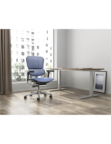 Кресло ERGOHUMAN ELITE 2 (EHE2-AB-HAM-5D-L, сетка T-168-B4 Cobalt), эргономичное