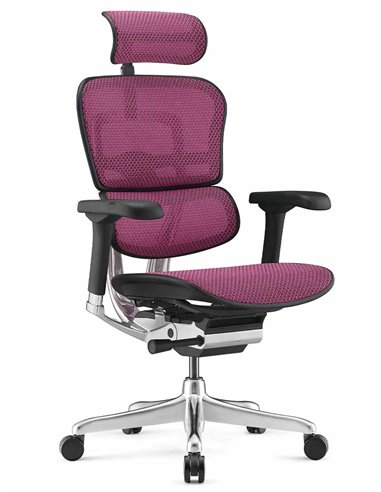 Крісло ERGOHUMAN ELITE 2 (EHE2-AB-HAM-5D-L, сітка T-168-B5 Pink), ергономічне