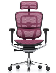 Кресло ERGOHUMAN ELITE 2 (EHE2-AB-HAM-5D-L, сетка T-168-B5 Pink), эргономичное 2