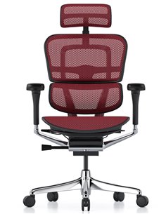 Кресло ERGOHUMAN ELITE 2 (EHE2-AB-HAM-5D-L, сетка T-168-B3 Scarlet), эргономичное