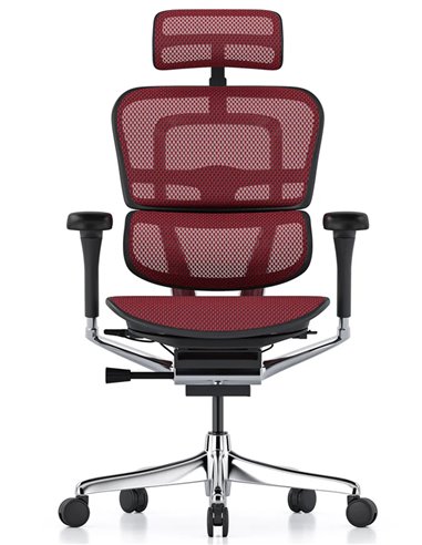 Кресло ERGOHUMAN ELITE 2 (EHE2-AB-HAM-5D-L, сетка T-168-B3 Scarlet), эргономичное