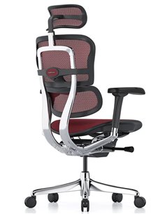 Кресло ERGOHUMAN ELITE 2 (EHE2-AB-HAM-5D-L, сетка T-168-B3 Scarlet), эргономичное 2