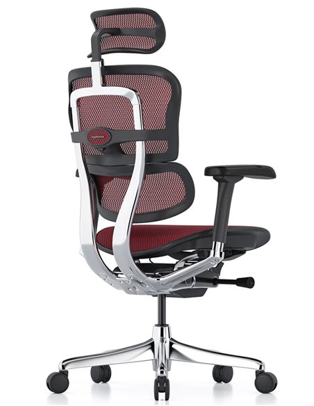 Кресло ERGOHUMAN ELITE 2 (EHE2-AB-HAM-5D-L, сетка T-168-B3 Scarlet), эргономичное