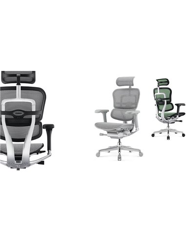 Кресло ERGOHUMAN ELITE 2 (EHE2-AB-HAM-5D-L, сетка T-168-B3 Scarlet), эргономичное