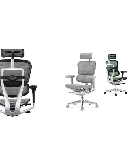 Кресло ERGOHUMAN ELITE 2 (EHE2-AB-HAM-5D-L, сетка T-168-B3 Scarlet), эргономичное