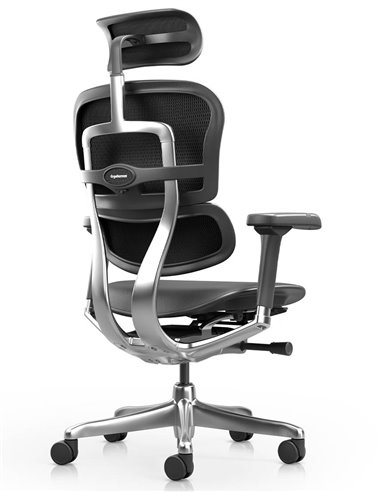 Кресло ERGOHUMAN ELITE 2, BLACK LEATHER, эргономичное