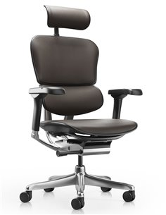 Кресло ERGOHUMAN ELITE 2, BROWN LEATHER, эргономичное
