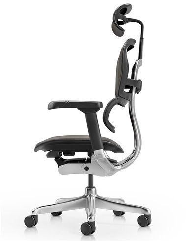 Кресло ERGOHUMAN ELITE 2, BROWN LEATHER, эргономичное