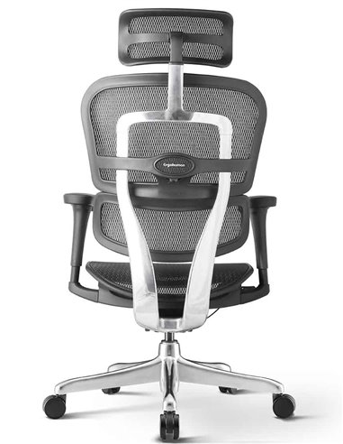 Кресло ERGOHUMAN PROJECT 2 BLACK, эргономичное