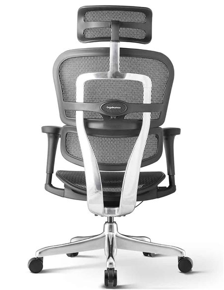 Кресло ERGOHUMAN PROJECT 2 BLACK, эргономичное
