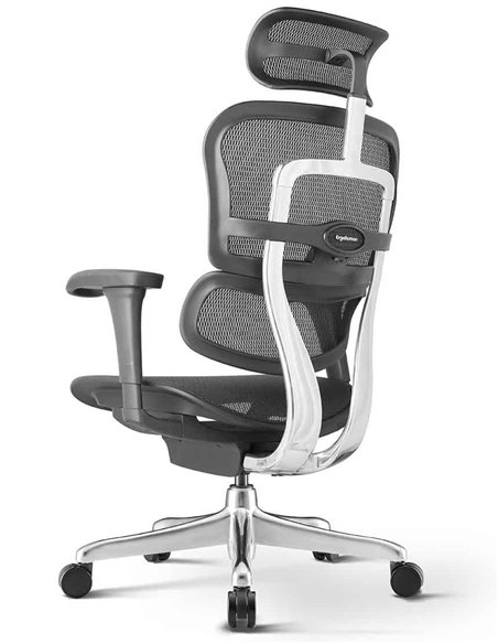 Кресло ERGOHUMAN PROJECT 2 BLACK, эргономичное