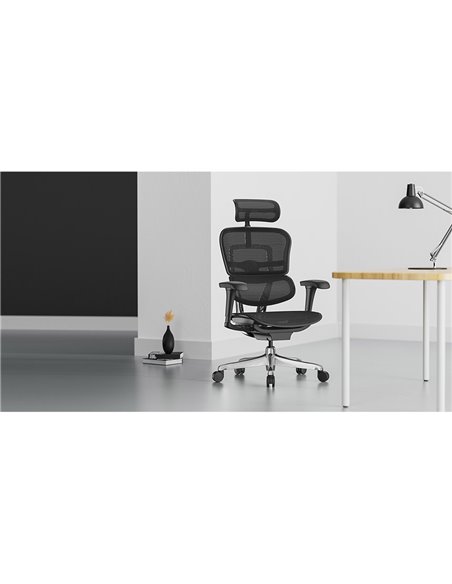 Кресло ERGOHUMAN PROJECT 2 BLACK, эргономичное