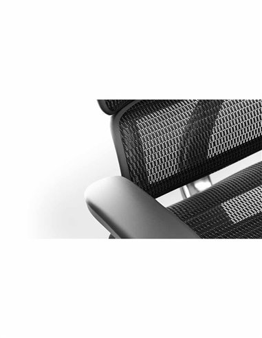 Кресло ERGOHUMAN PROJECT 2 BLACK, эргономичное