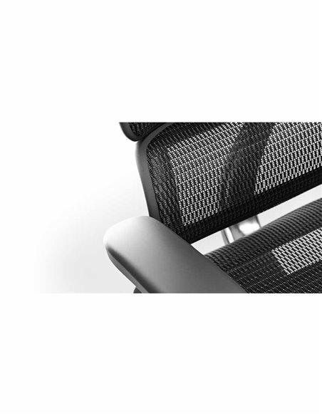 Кресло ERGOHUMAN PROJECT 2 BLACK, эргономичное